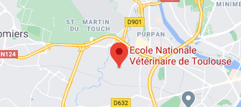 Aperçu emplacement ENVT Google maps