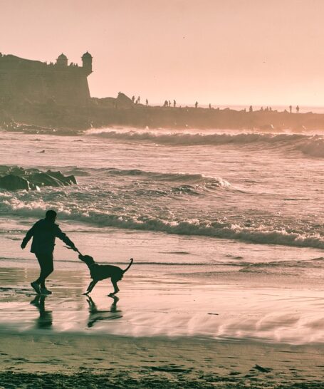 Homme avec son chien sur la plage
