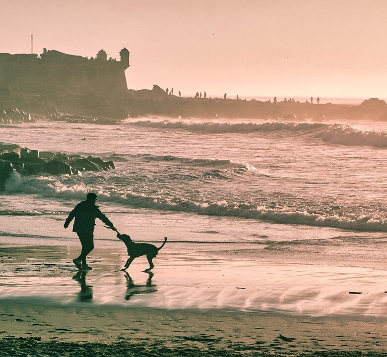 Homme avec son chien sur la plage