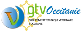 Logo de gtv Occitanie - Un V stylisé compris dans un cercle avec écrit à côté GTV Occitanie et, en plus petit en dessous, groupement technique vétérinaire d'Occitanie. En fond, la croix occitane en jaune. 