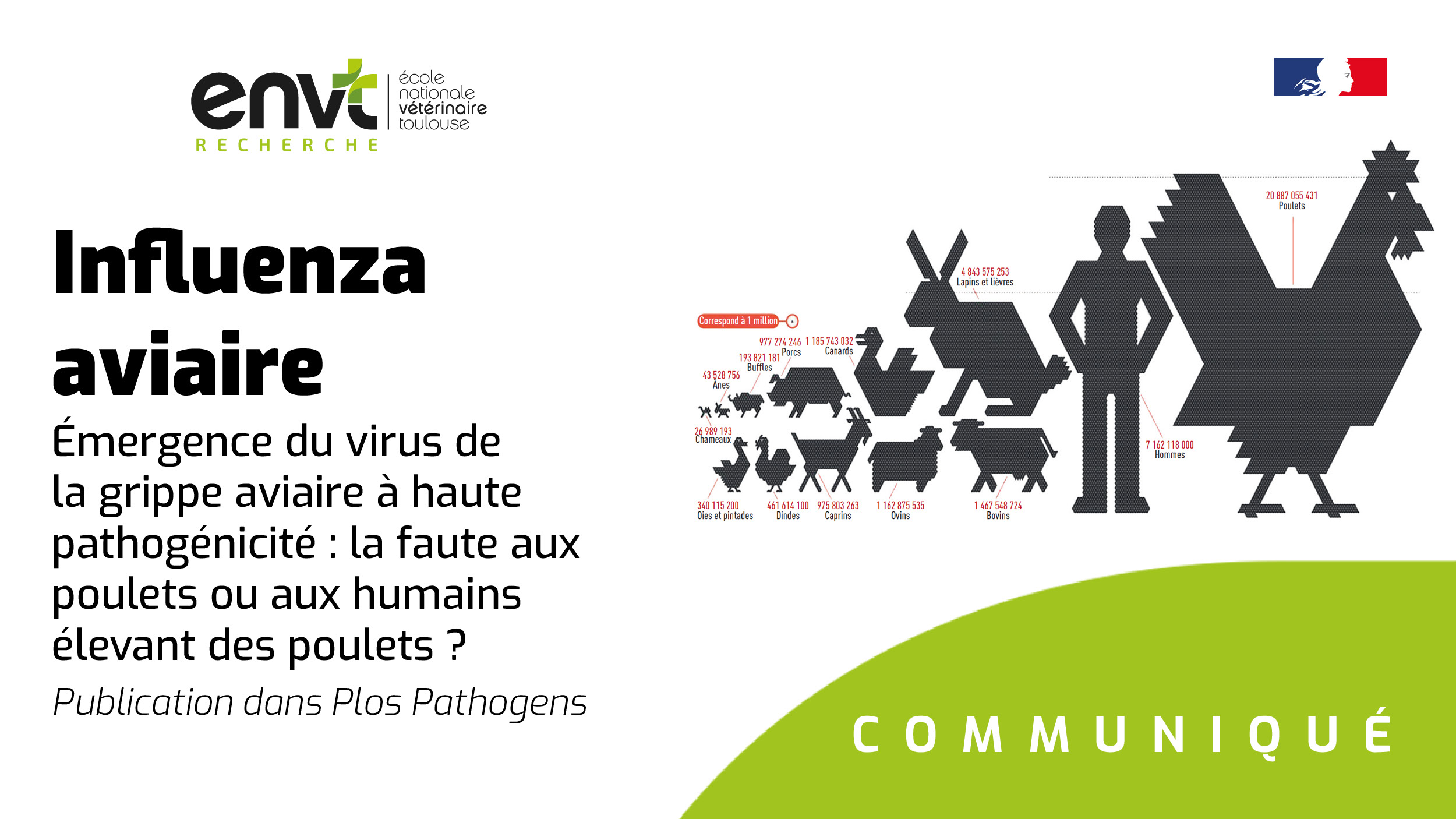 The emergence of the highly pathogenic avian influenza virus: Is it the fault of chickens or the fault of humans raising chickens? – News, press release, IHAP, search